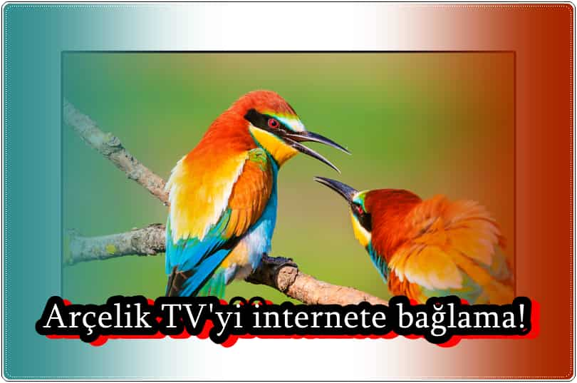 Arçelik TV İnternete Nasıl Bağlanır?