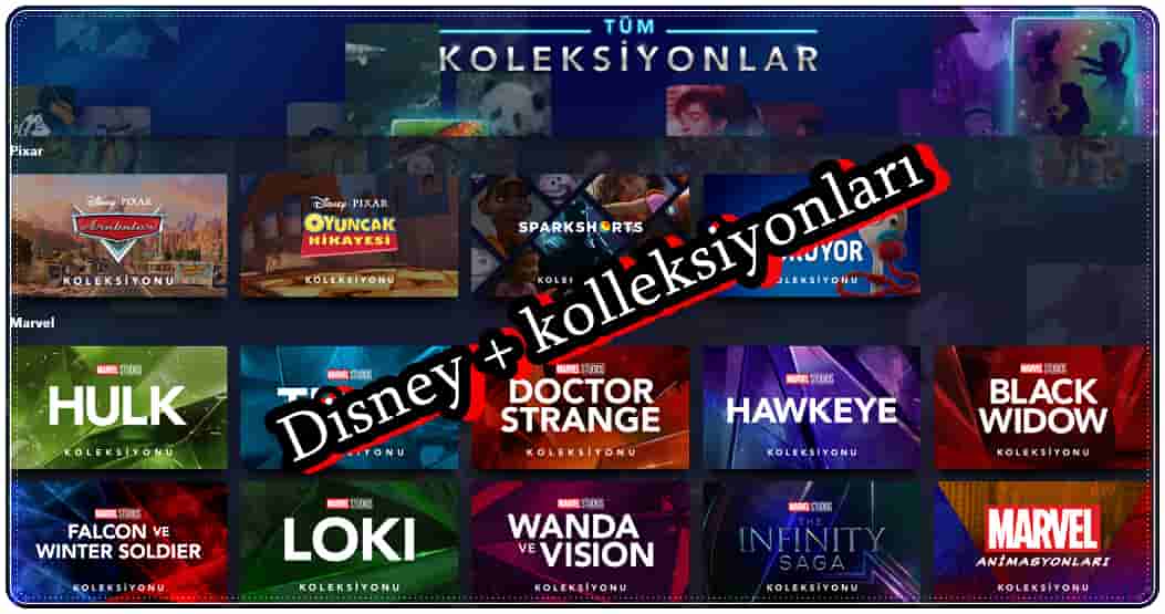 Disney Plus+ Kolleksiyonları Nasıl İzlenir?